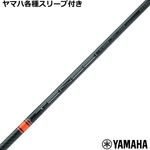 ynhXz}nRMX X[u(񏃐)JX^ eZC TENSEI PRO IW 1K