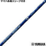 ynhXz}nRMX~bNX X[u(񏃐)JX^@GV[Y aG19 hCo[p