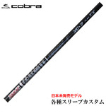RueΉX[ui񏃐jJX^@Tour AD XC TX {f US