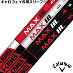 LEFCeΉX[uJX^ KBS MAX HL {dl