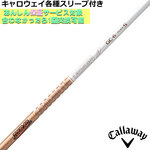LEFCeX[uJX^@TOUR AD GC cA[AD GC
