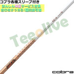 RueX[uJX^@TOUR AD GC cA[AD GC