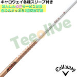 LEFCeΉX[uJX^@TOUR AD GC cA[AD GC