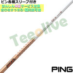seΉX[uJX^@TOUR AD GC cA[AD GC