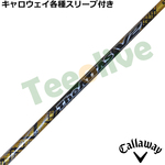 LEFCeX[uJX^ WEAb^X V2 S[ho[W The ATTAS V2 GOLDver