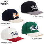PUMA 026038 v[} FOG R[fBCoCU[ StLbv