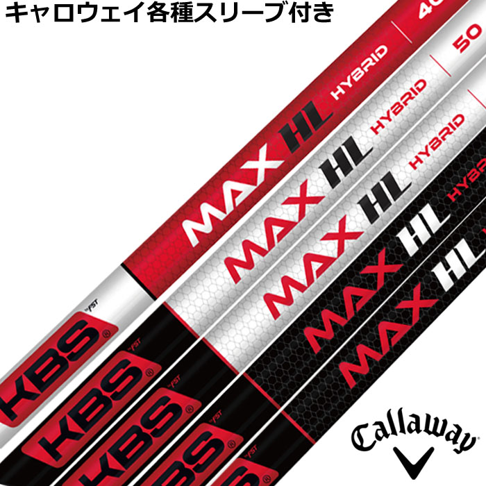 LEFCeΉX[uJX^ KBS MAX HL nCubh