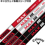 LEFCeΉX[uJX^ KBS MAX HL nCubh