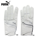 PUMA v[} 042107 X[p[^b`O[u StO[u 