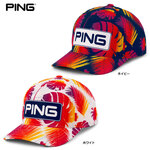 s PING Electric Sunset GNgbNTZbgRNV cA[ XibvobN@StLbv 38174