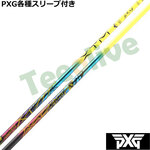 PXG 0811 0341 eX[ut(񏃐) JX^Vtg  oVEX XTM VMeB Singularity 300{胂f