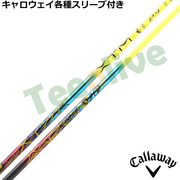 LEFCeΉX[uJX^  oVEX XTM VMeB Singularity 300{胂f