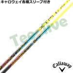 LEFCeΉX[uJX^  oVEX XTM VMeB Singularity 300{胂f