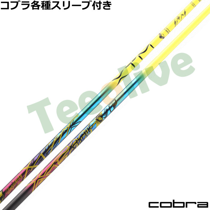 RueΉX[uJX^  oVEX XTM VMeB Singularity 300{胂f