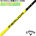 LEFCeX[uJX^ FERUGA tFK NPS V[Y
