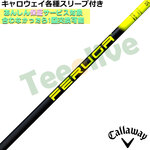 LEFCeX[uJX^ FERUGA tFK PBS V[Y