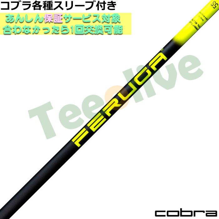 RueX[uJX^ FERUGA tFK PBS V[Y
