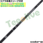 RueΉX[uJX^ eZC v ubN 1K RA TENSEI PRO BLACK 1K CORE