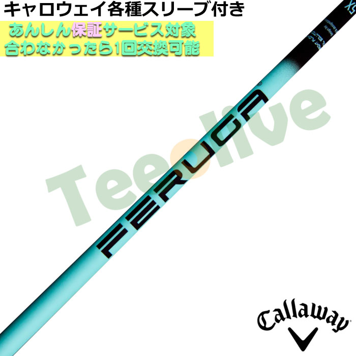 LEFCeX[uJX^ FERUGA tFK TSS ~g V[Y