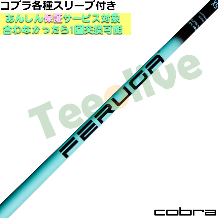 RueX[uJX^ FERUGA tFK TSS ~g V[Y