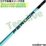 RuDS-ADAPTX[utJX^ FERUGA tFK TSS ~g V[Y