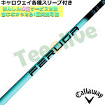 LEFCeΉX[uJX^ FERUGA tFK TSS ~g V[Y