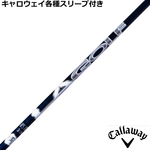 y݌ɓzLEFCeX[uJX^ LAGP LAGOLF DJVOl`[ _XeBEW\f 2022Nf US