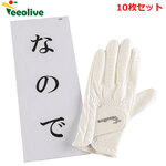 i10Zbgj Teeolive eB[I[ IWiStO[u Ȃ̂