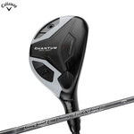 �L�����E�F�C QUANTUM MAX FAST �n�C�u���b�h �N�����^�� �}�b�N�X �t�@�X�gHYBIDS SPDSTAR�V���t�g���� �S���t�N���u