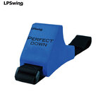 LPSwing PERFECT DOWN �p�[�t�F�N�g�_�E�� �g�c�����c�A�[�v���R�[�`�ďC