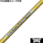 ynhXzPXG 0811 0341 eX[ut(񏃐) JX^Vtg Regio WI tH[~MB N.S.PRO@